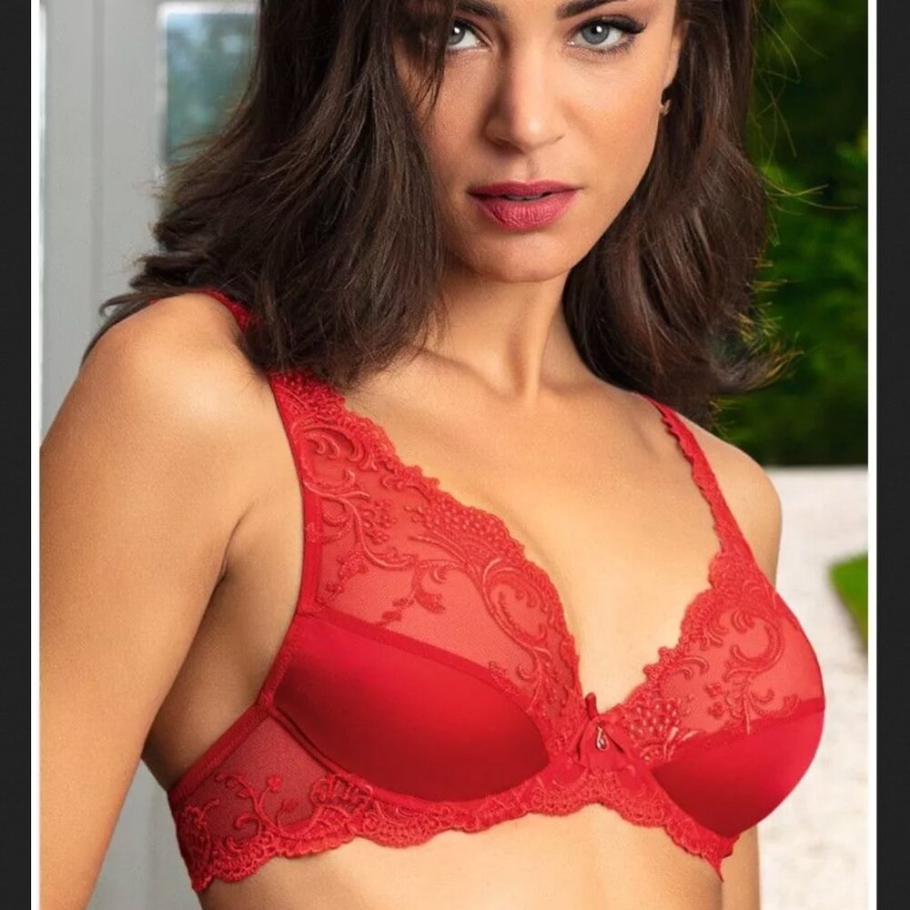 LISE CHARMEL Splendeur Soie Triangle Bra in Rouge NWT 34B&C available